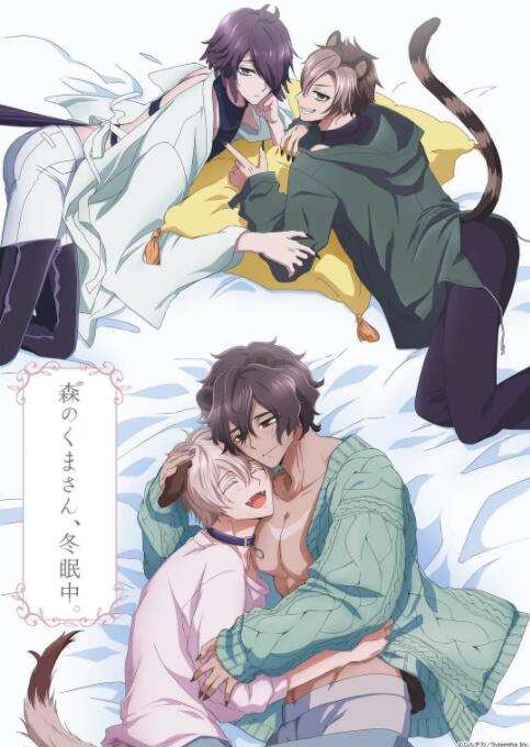 2018动漫大全《森林里的熊先生冬眠中》迅雷下载_中文完整版_百度云网盘720P|1080P资源