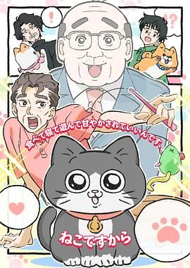 2018动漫大全《转生成猫的大叔》迅雷下载_中文完整版_百度云网盘720P|1080P资源